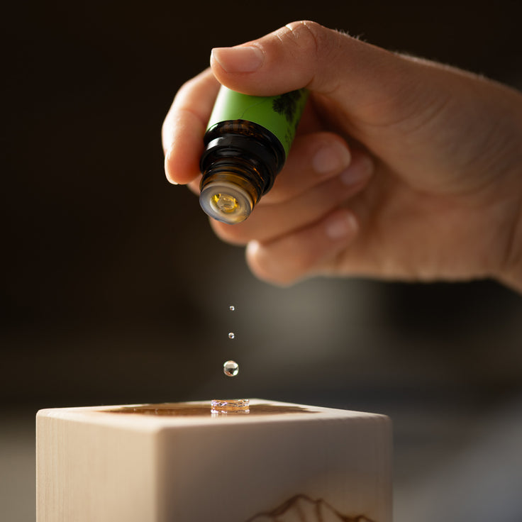 Duftwürfel aus Arvenholz