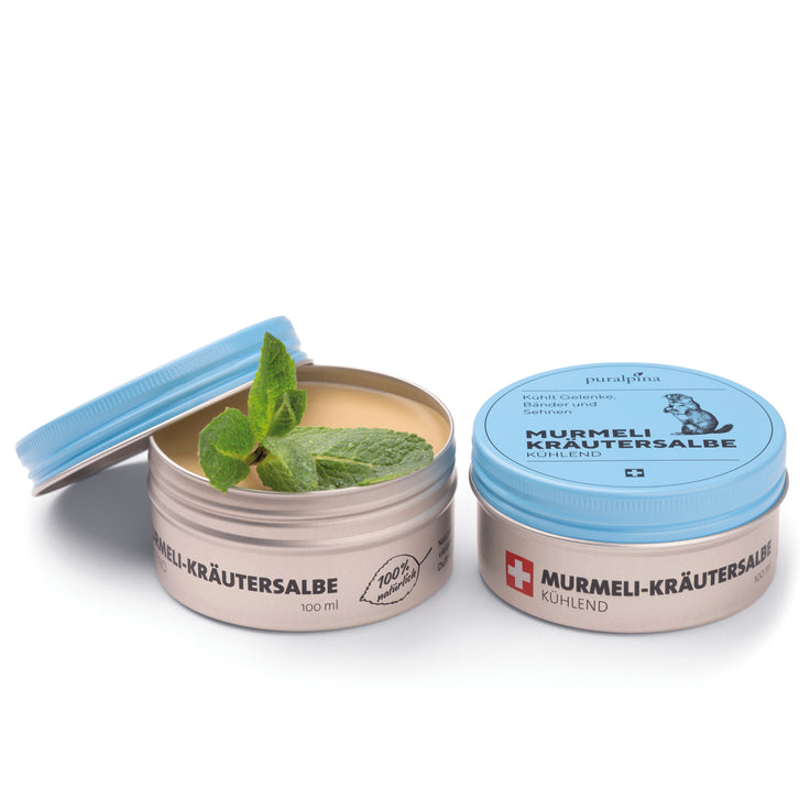 Murmeli-Kräutersalbe kühlend 30ml