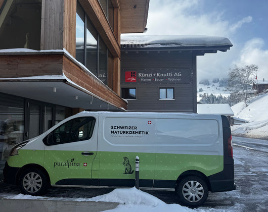 Warum wir bei unserem Neubau auf Holz setzen