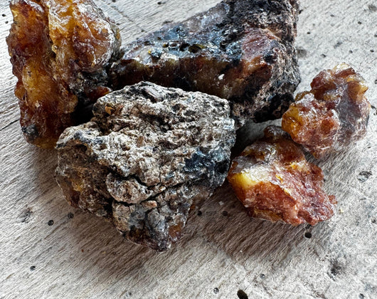 Fichtenharz – Heilkraft für Mensch und Natur