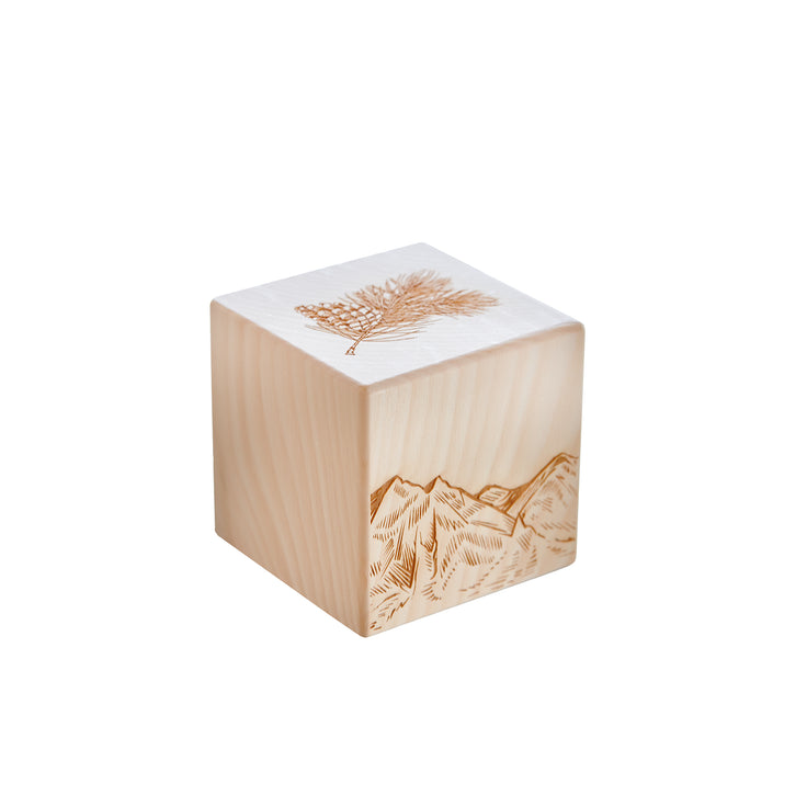 Cubes parfumés en bois de pin