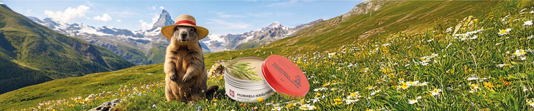Murmeli Salbe vor dem Matterhorn