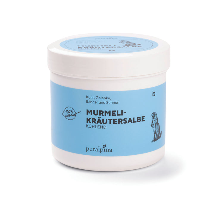 Pommade à base de plantes Marmot, chauffante, 500 ml – chaleur intense pour le dos, les muscles et les articulations