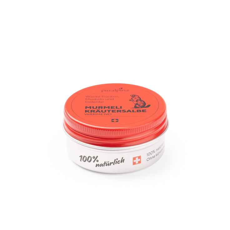 Dose Murmeli-Krätuersalbe wärmend 