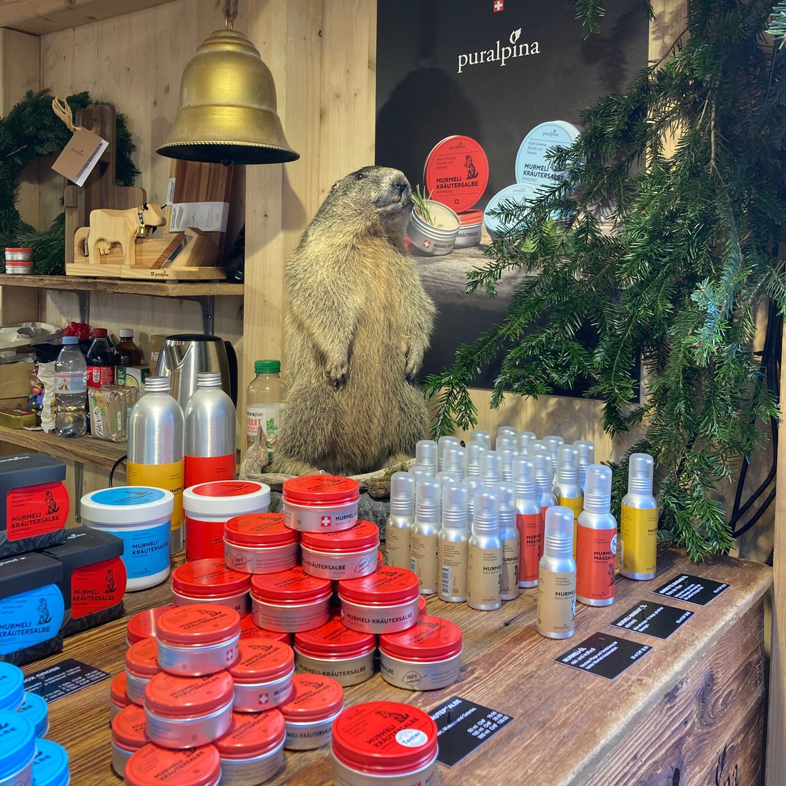 Präsentation an Weihnachtsmarkt Bern