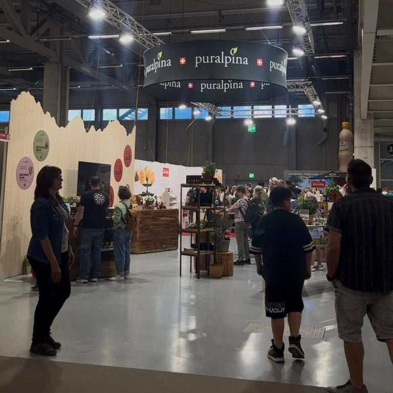 Stand an der BEA