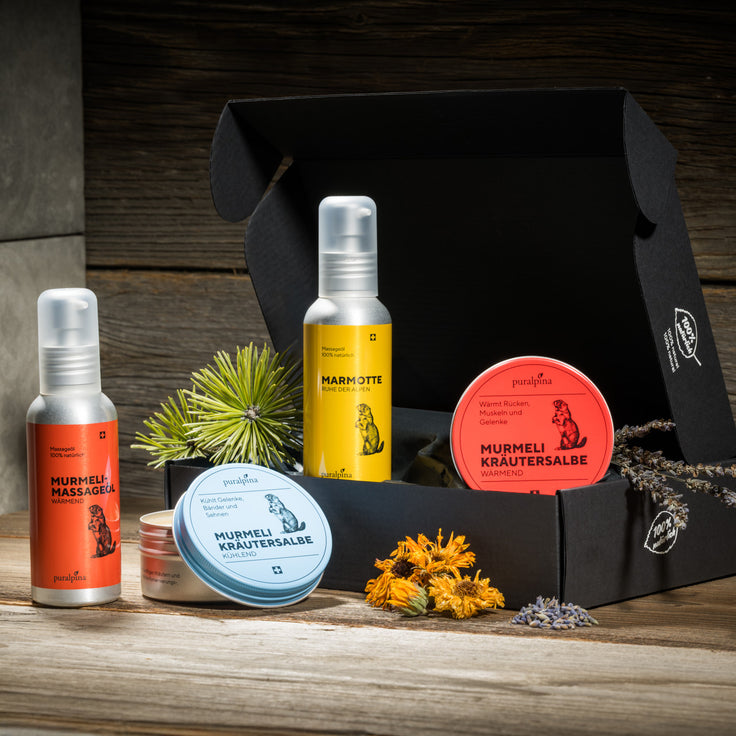 Coffret Puralpina Murmeli grand format dans un coffret cadeau noir contenant deux onguents à base de plantes et deux huiles de massage